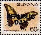 guyana1233.jpg