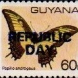 guyana1233