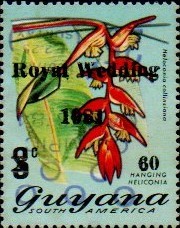 guyana1235.jpg