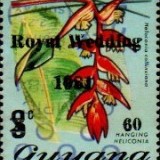 guyana1235