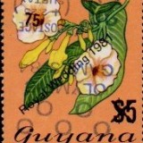 guyana1236