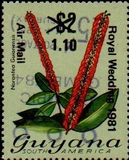 guyana1237.jpg