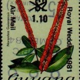 guyana1237