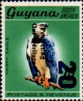 guyana1238.jpg