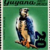 guyana1238