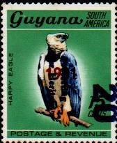 guyana1239.jpg