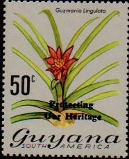 guyana1244.jpg