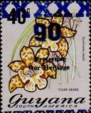 guyana1247.jpg