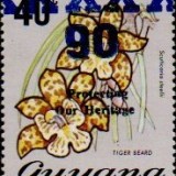 guyana1247