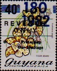 guyana1248.jpg