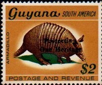 guyana1249.jpg