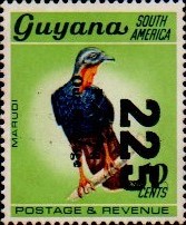 guyana1250.jpg
