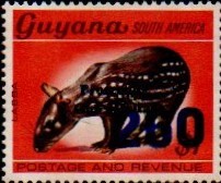 guyana1251.jpg