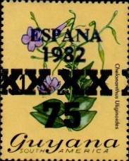 guyana1260.jpg