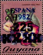 guyana1262.jpg