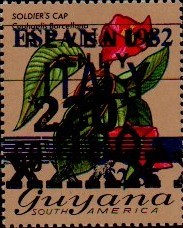 guyana1263.jpg