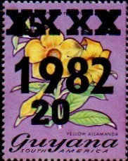 guyana1264.jpg