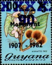 guyana1267.jpg