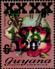 guyana1270.jpg