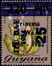 guyana1271.jpg