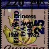 guyana1273