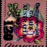 guyana1275
