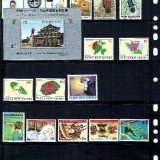 Papua-New-Guinea111