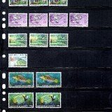 Papua-New-Guinea53