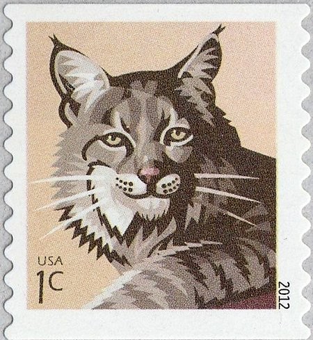 USA-4672.jpg