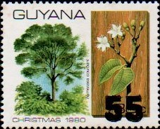 guyana1276.jpg