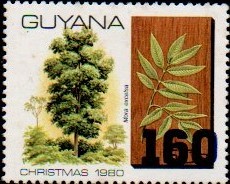 guyana1278.jpg
