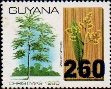 guyana1279.jpg