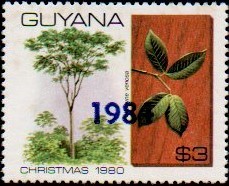 guyana1280.jpg