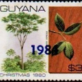 guyana1280