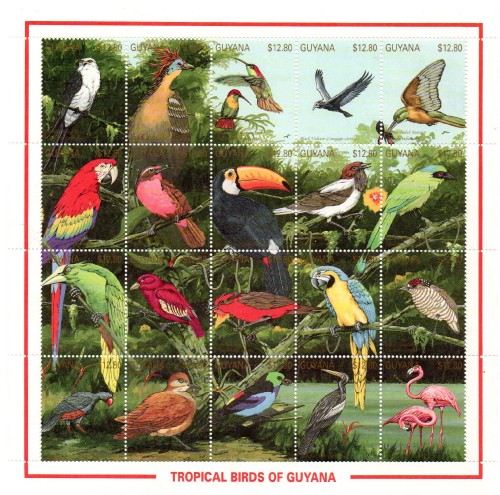 guyana2987-3006.jpg