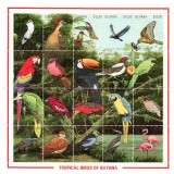 guyana2987-3006