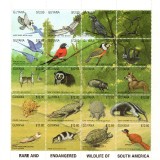 guyana3027-46