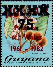 guyana1291.jpg