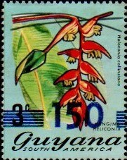 guyana1296.jpg