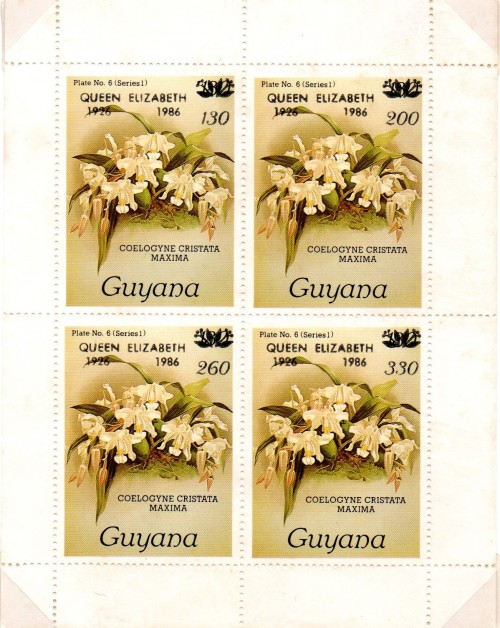 guyana1685.jpg
