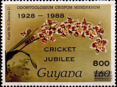 guyana2475
