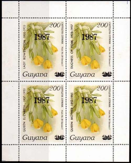 guyana2106