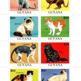 guyana3309a