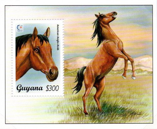 guyana4377c