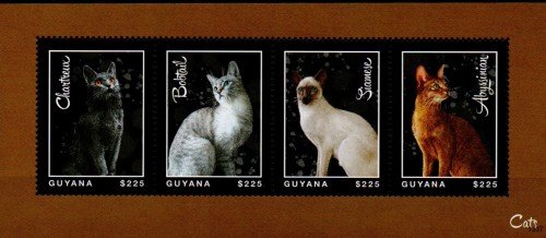 guyanacats