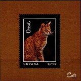 guyanacats1