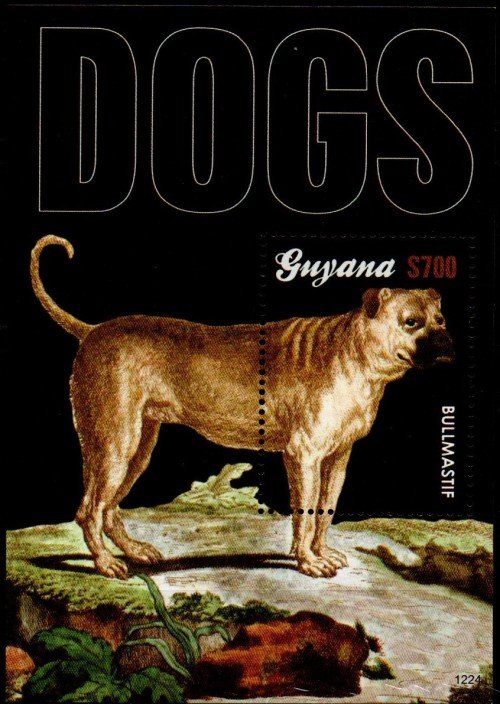 guyanadogs