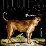 guyanadogs