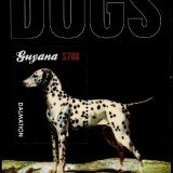 guyanadogs1