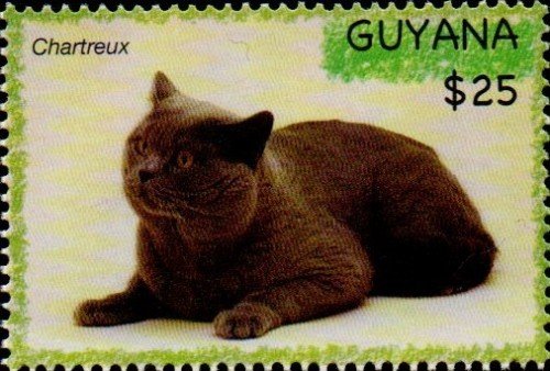 guyana6617